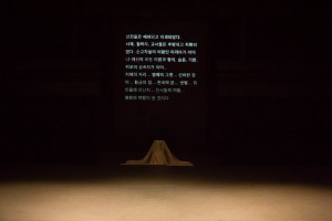 버자이나의 죽음_015