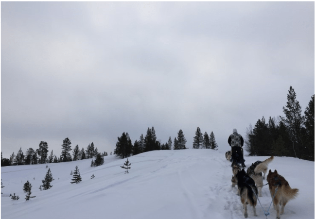 스크린샷 2015-07-27 오후 4.01.11